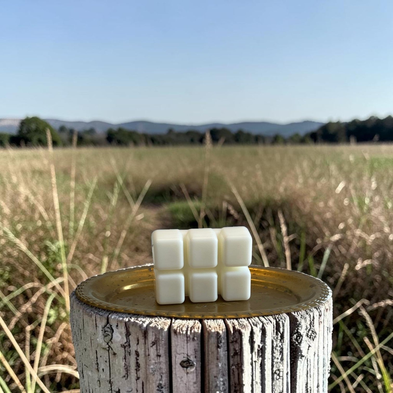 Police Point Park wax melt, Lunahrin Candles